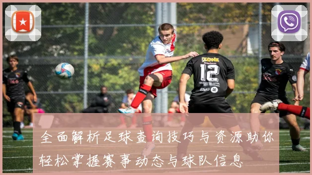 全面解析足球查询技巧与资源助你轻松掌握赛事动态与球队信息