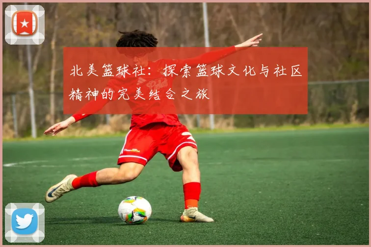 北美篮球社：探索篮球文化与社区精神的完美结合之旅