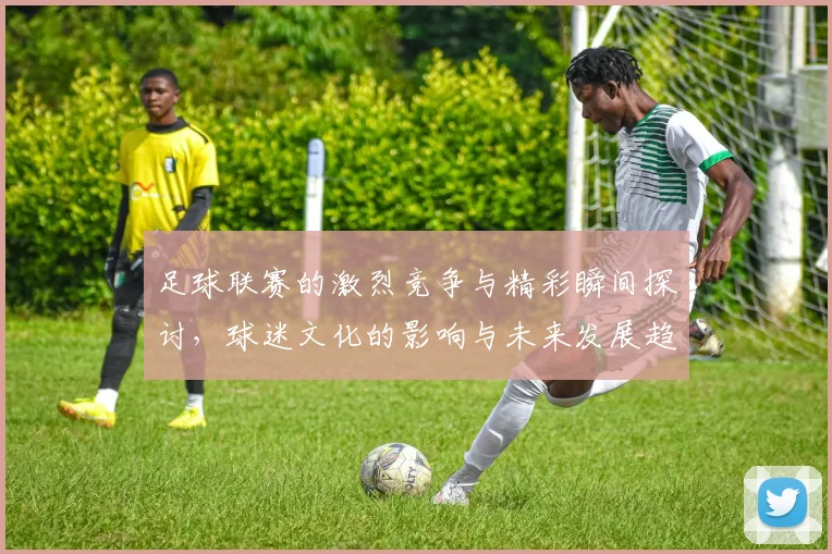 足球联赛的激烈竞争与精彩瞬间探讨，球迷文化的影响与未来发展趋势分析