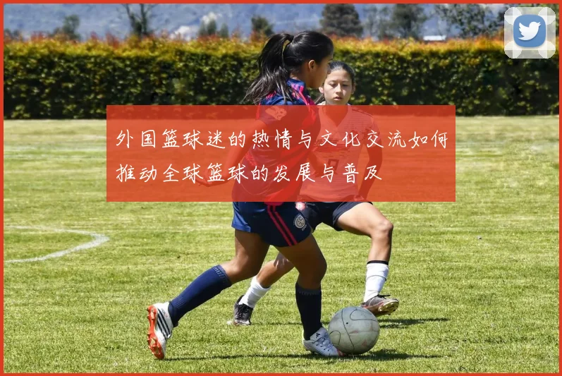 外国篮球迷的热情与文化交流如何推动全球篮球的发展与普及
